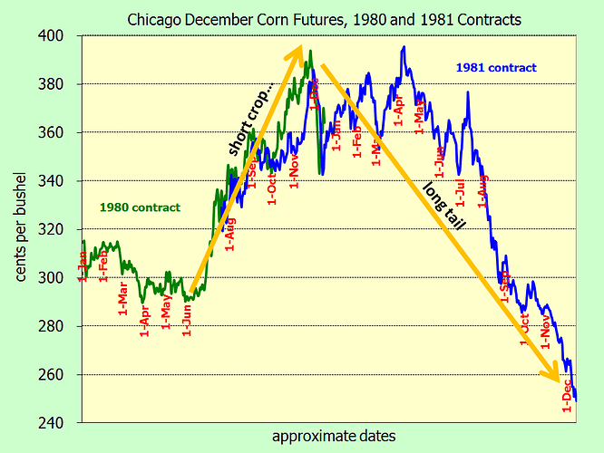 short-crop-long-tail-1980-81