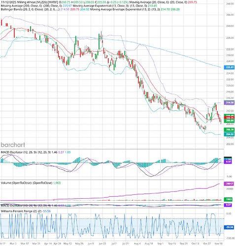 MLZ26_Barchart_Interactive_Chart_Daily_11_12_2025