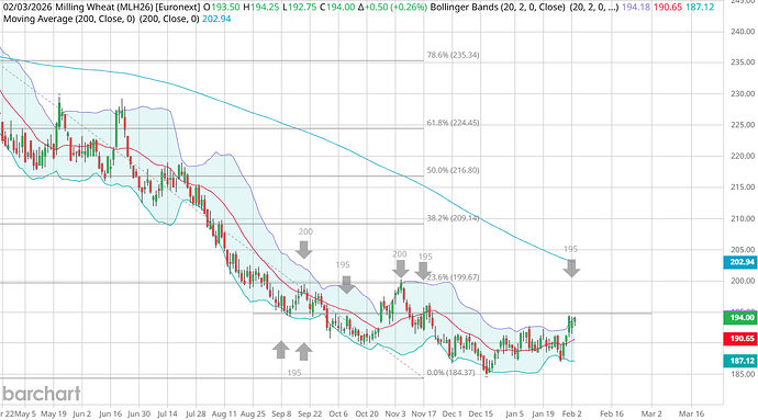 MLH26_Barchart_Interactive_Chart_Daily_02_03_2026 (1)